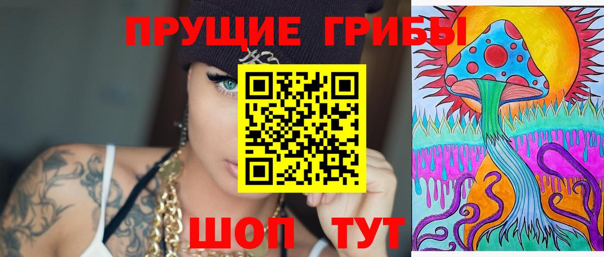 Галлюциногенные грибы мухоморы Славгород